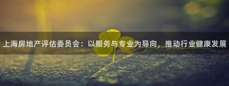风暴娱乐去人l8888：上海房地产评估委员会：以服务与专业为
