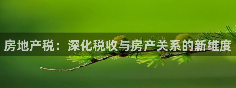 娱乐风暴二：房地产税：深化税收与房产关系的新维度