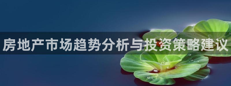 风暴娱乐求333OOf：房地产市场趋势分析与投资策略建议