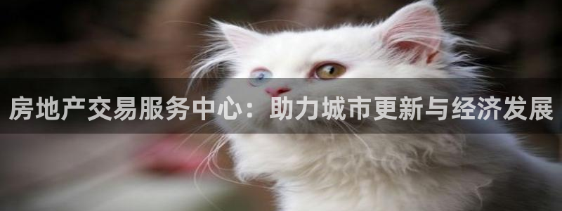 风暴娱乐部：房地产交易服务中心：助力城市更新与经济发展