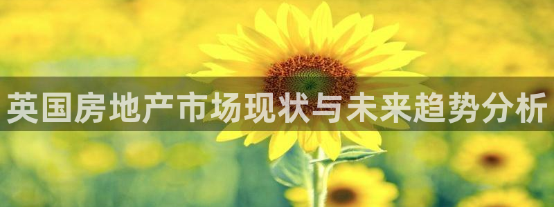 风暴娱乐银川：英国房地产市场现状与未来趋势分析