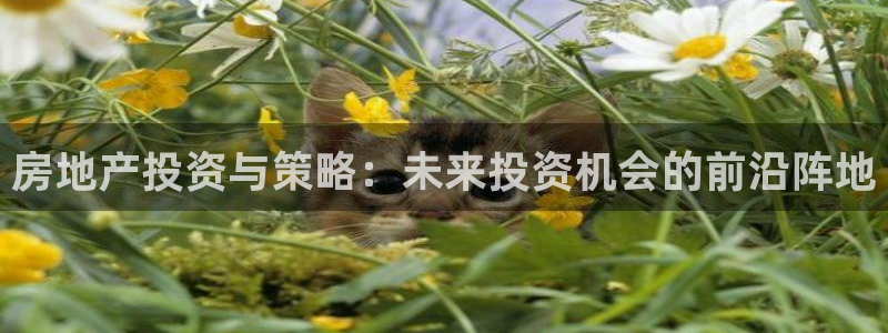 娱乐风暴港：房地产投资与策略：未来投资机会的前沿阵地