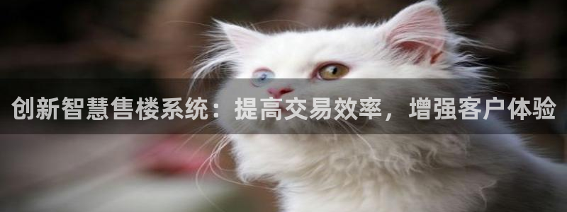 星风暴娱乐：创新智慧售楼系统：提高交易效率，增强客户体验
