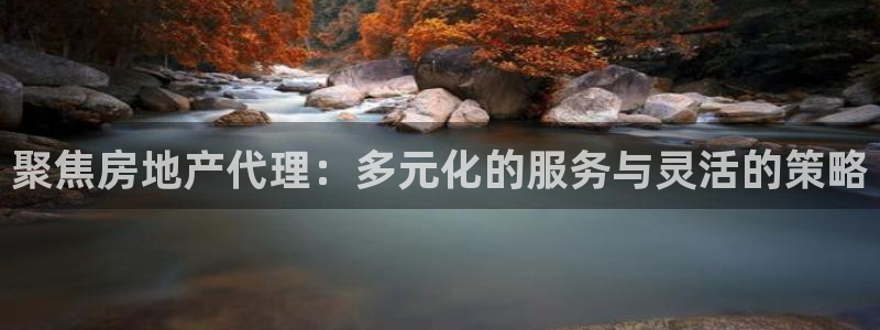 风暴娱乐求333OOc：聚焦房地产代理：多元化的服务与灵活的