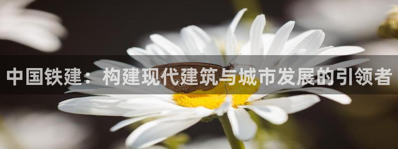 风暴娱乐客服：中国铁建：构建现代建筑与城市发展的引领者