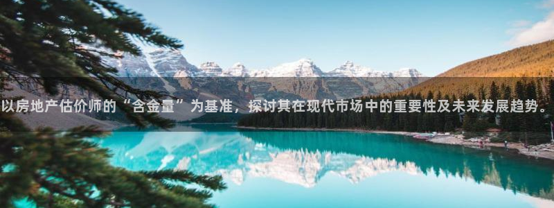 风暴娱乐主管是谁：以房地产估价师的“含金量”为基准，探讨其在