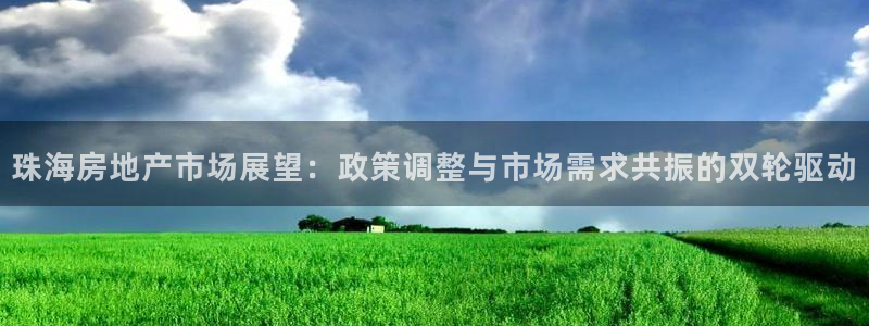 风暴娱乐乃六七五一38：珠海房地产市场展望：政策调整与市场需