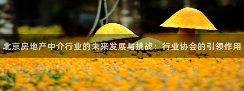 风暴娱乐官方网站：北京房地产中介行业的未来发展与挑战：行业协