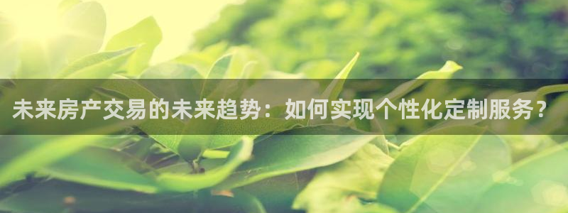风暴娱乐登录网址：未来房产交易的未来趋势：如何实现个性化定制