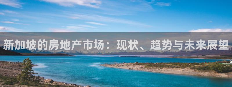 风暴娱乐老板：新加坡的房地产市场：现状、趋势与未来展望