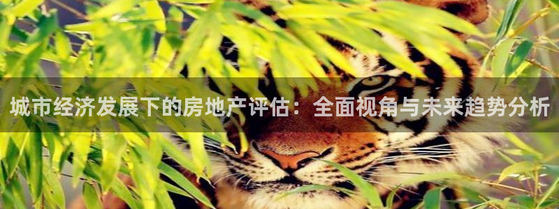 风暴娱乐1：城市经济发展下的房地产评估：全面视角与未来趋势分