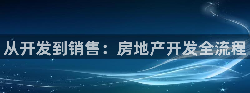下载风暴娱乐：从开发到销售：房地产开发全流程