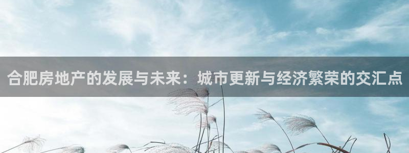 风暴娱乐银川：合肥房地产的发展与未来：城市更新与经济繁荣的交