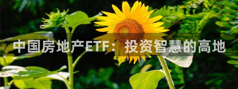 风暴娱乐官方网站：中国房地产ETF：投资智慧的高地