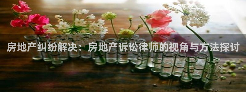 风暴娱乐求333OOa：房地产纠纷解决：房地产诉讼律师的视角