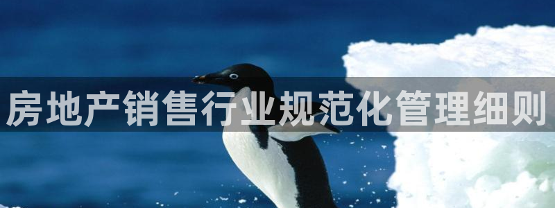 风暴娱乐右5指尖：房地产销售行业规范化管理细则