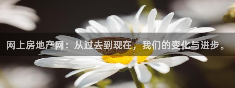 风暴娱乐拉菲8：网上房地产网：从过去到现在，我们的变化与进步