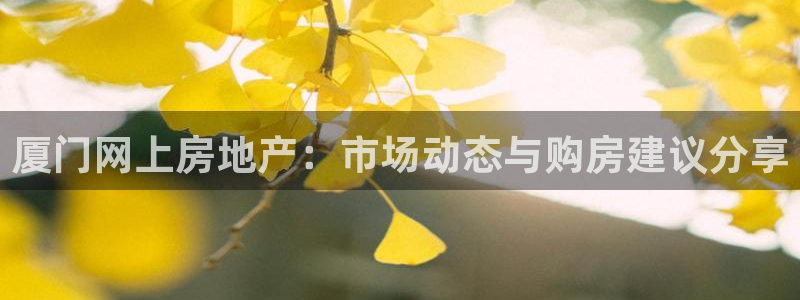 风暴娱乐部：厦门网上房地产：市场动态与购房建议分享