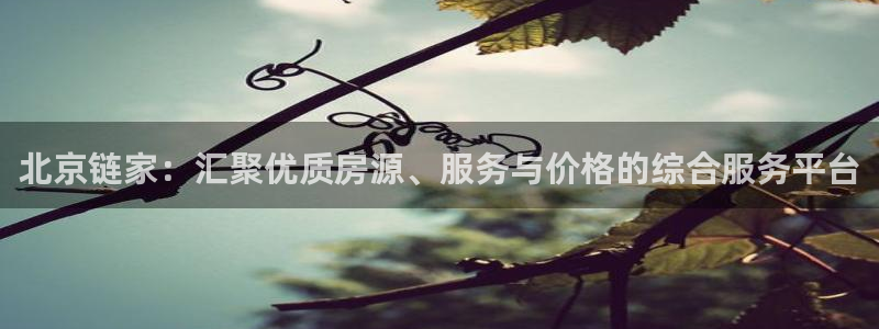蓝色风暴娱乐：北京链家：汇聚优质房源、服务与价格的综合服务平
