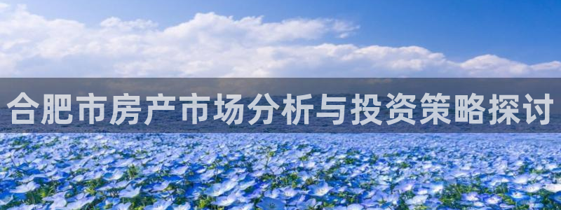 风暴娱乐眼：合肥市房产市场分析与投资策略探讨