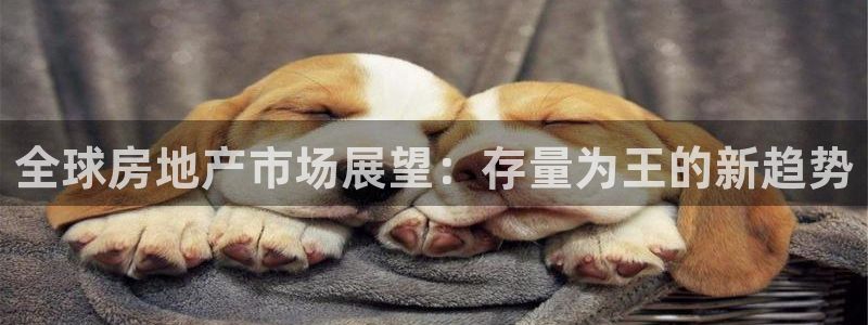 风暴娱乐下载：全球房地产市场展望：存量为王的新趋势
