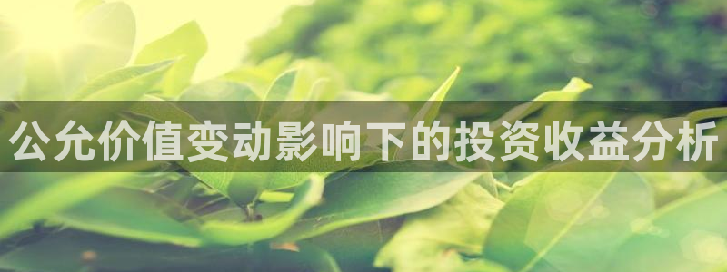 风暴娱乐眼：公允价值变动影响下的投资收益分析