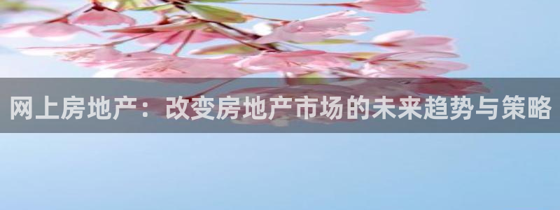 风暴数字娱乐：网上房地产：改变房地产市场的未来趋势与策略