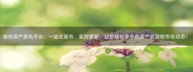 风暴娱乐字图片大全：扬州房产资讯平台：一站式服务、实时更新，