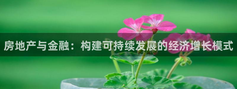 下载风暴娱乐：房地产与金融：构建可持续发展的经济增长模式