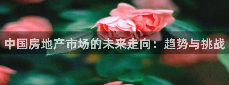 4120051风暴娱乐：中国房地产市场的未来走向：趋势与挑战