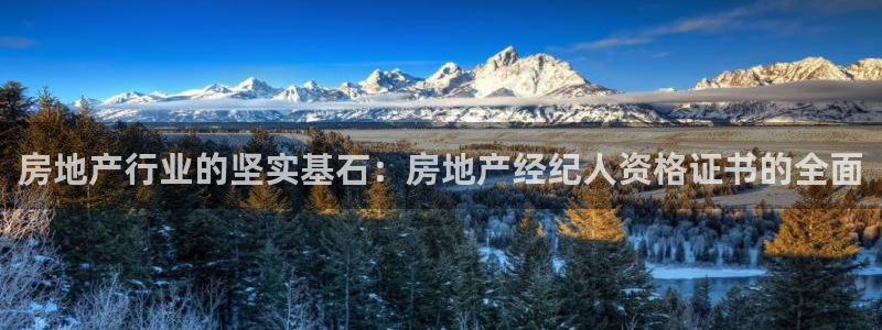 风暴娱乐老板：房地产行业的坚实基石：房地产经纪人资格证书的全