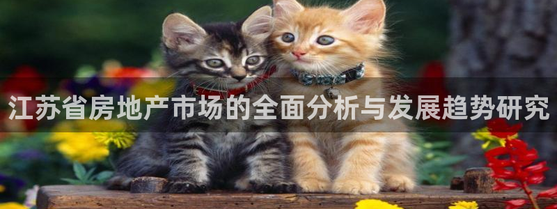 风暴娱乐客服：江苏省房地产市场的全面分析与发展趋势研究