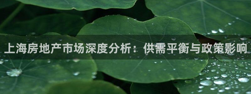 风暴娱乐拉菲8：上海房地产市场深度分析：供需平衡与政策影响