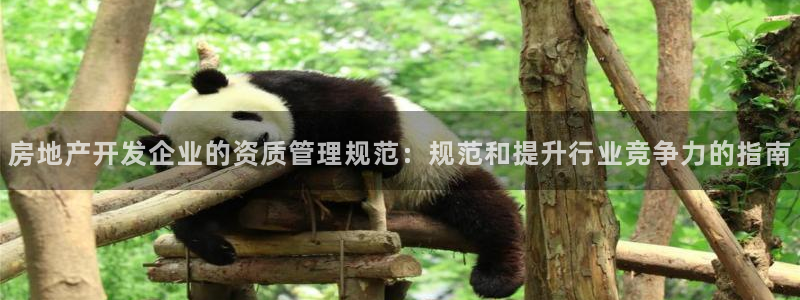 风暴娱乐乃六七五一38：房地产开发企业的资质管理规范：规范和