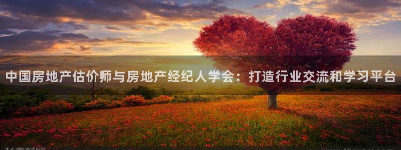 风暴娱乐 北京：中国房地产估价师与房地产经纪人学会：打造行业