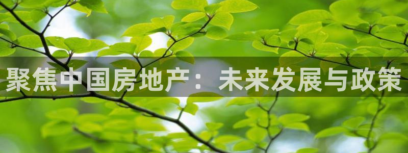 风暴娱乐5O6917：聚焦中国房地产：未来发展与政策