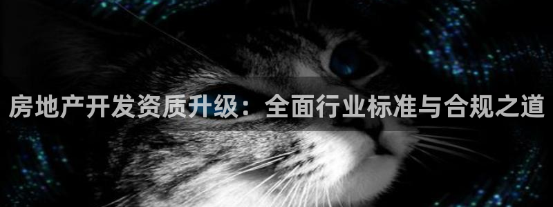 风暴娱乐号：房地产开发资质升级：全面行业标准与合规之道