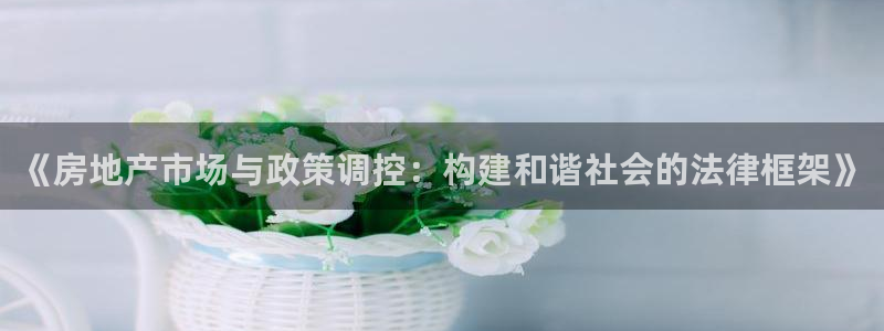 风暴娱乐派对：《房地产市场与政策调控：构建和谐社会的法律框架
