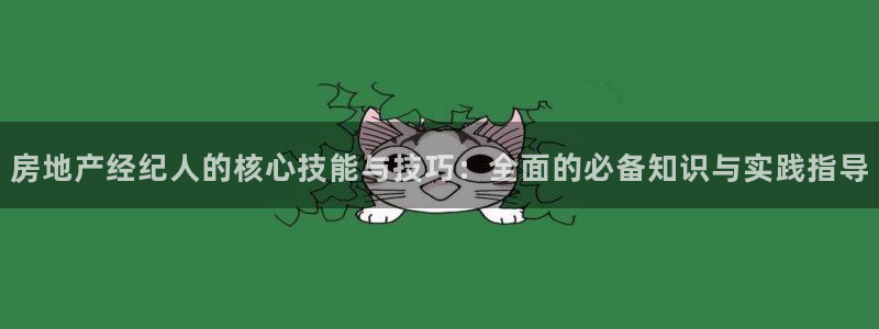 风暴娱乐注册网址：房地产经纪人的核心技能与技巧：全面的必备知