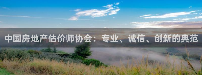 娱乐风暴港：中国房地产估价师协会：专业、诚信、创新的典范