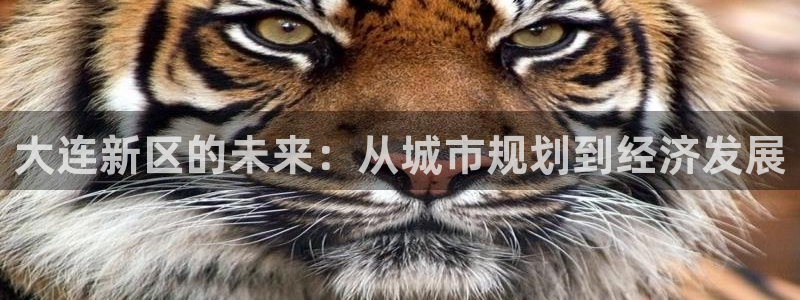 注册风暴娱乐：大连新区的未来：从城市规划到经济发展