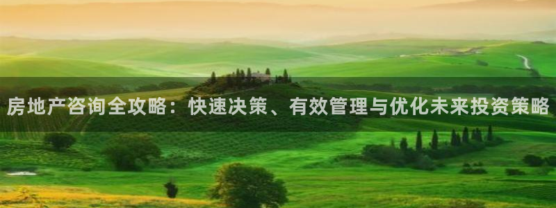 风暴娱乐官方网站：房地产咨询全攻略：快速决策、有效管理与优化