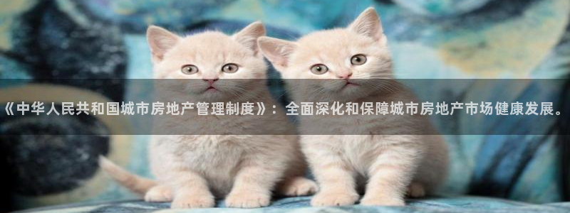 风暴娱乐主管是谁：《中华人民共和国城市房地产管理制度》：全面