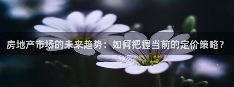 风暴娱乐线路：房地产市场的未来趋势：如何把握当前的定价策略？