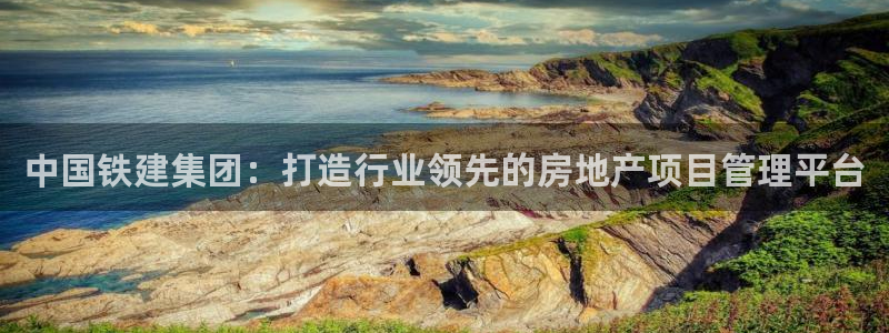光风暴娱乐：中国铁建集团：打造行业领先的房地产项目管理平台