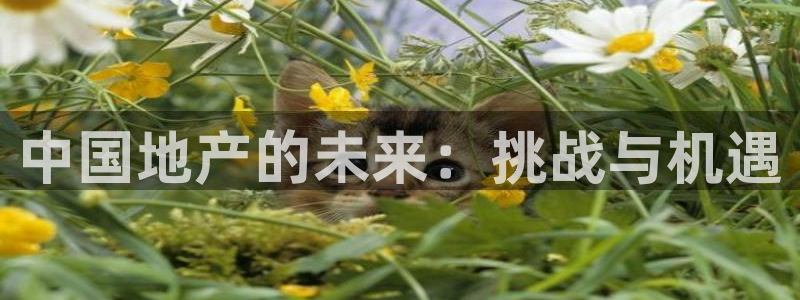 4120051风暴娱乐：中国地产的未来：挑战与机遇