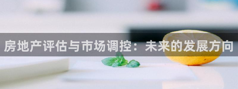 娱乐风暴系统：房地产评估与市场调控：未来的发展方向