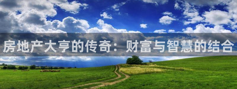 风暴娱乐点：房地产大亨的传奇：财富与智慧的结合