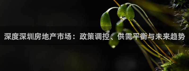 风暴娱乐月5指尖：深度深圳房地产市场：政策调控、供需平衡与未