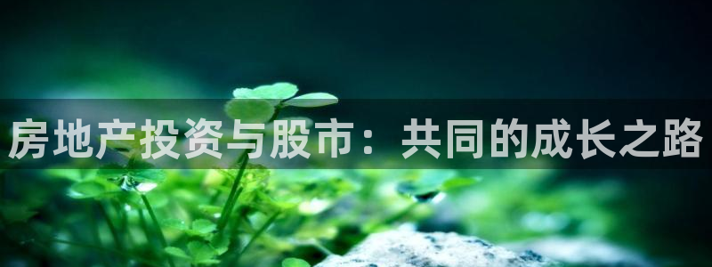 风暴数字娱乐：房地产投资与股市：共同的成长之路